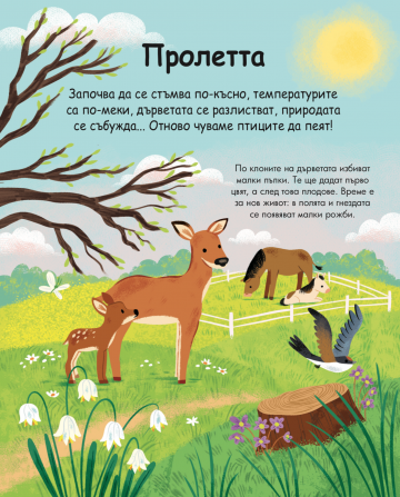 Енциклопедия за най-малките. Сезоните - Image 4