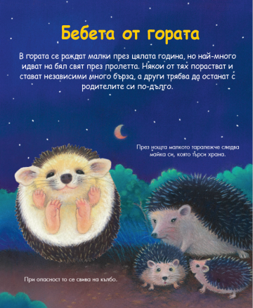 Енциклопедия за най-малките. Бебетата на животните - Image 2