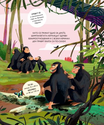 ЗАЕДНО: Да се научим от животните да си помагаме - Image 3