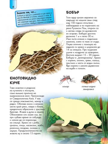 Албум със стикери. Животните в България: ВОДЕН СВЯТ - Image 4