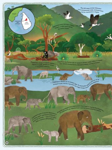 АТЛАС: Животни от цял свят - Image 2