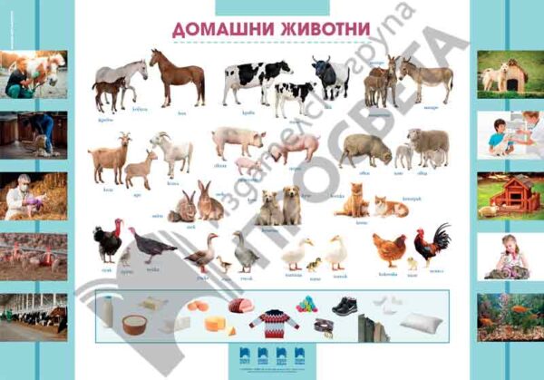 Табло по родинознание „Домашни и диви животни“
