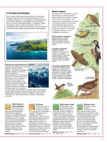 Атлас на птиците по света - Image 4