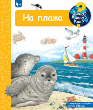 НА ПЛАЖА • ЗАЩО? КАКВО? КАК? – над 4 години