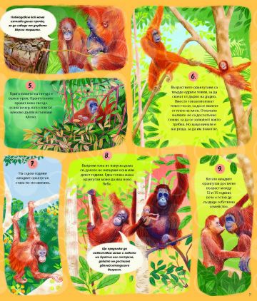 Вечният кръговрат на МАЙКАТА ПРИРОДА. 48 истории за жизнени цикли от цял свят - Image 3