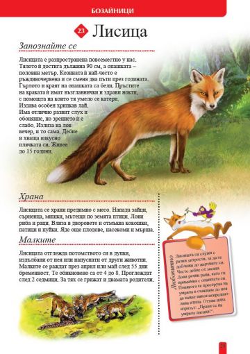 100+ животни от България - Image 4