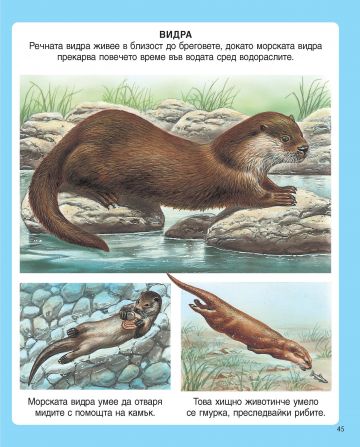 Енциклопедия на животните - Image 2