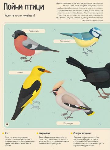 Енциклопедия на животните за млади читатели - Image 3