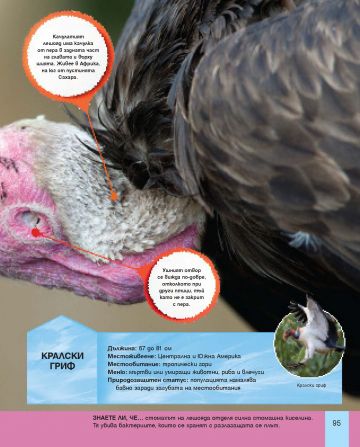 Голяма енциклопедия на животните - Image 4