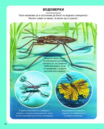 Енциклопедия на малките животни - Image 4