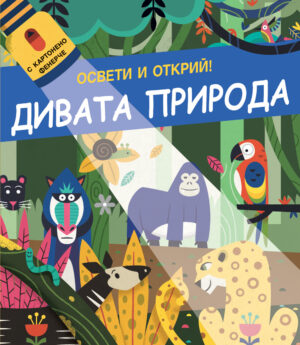 ОСВЕТИ И ОТКРИЙ! • С картонено фенерче - ДИВАТА ПРИРОДА