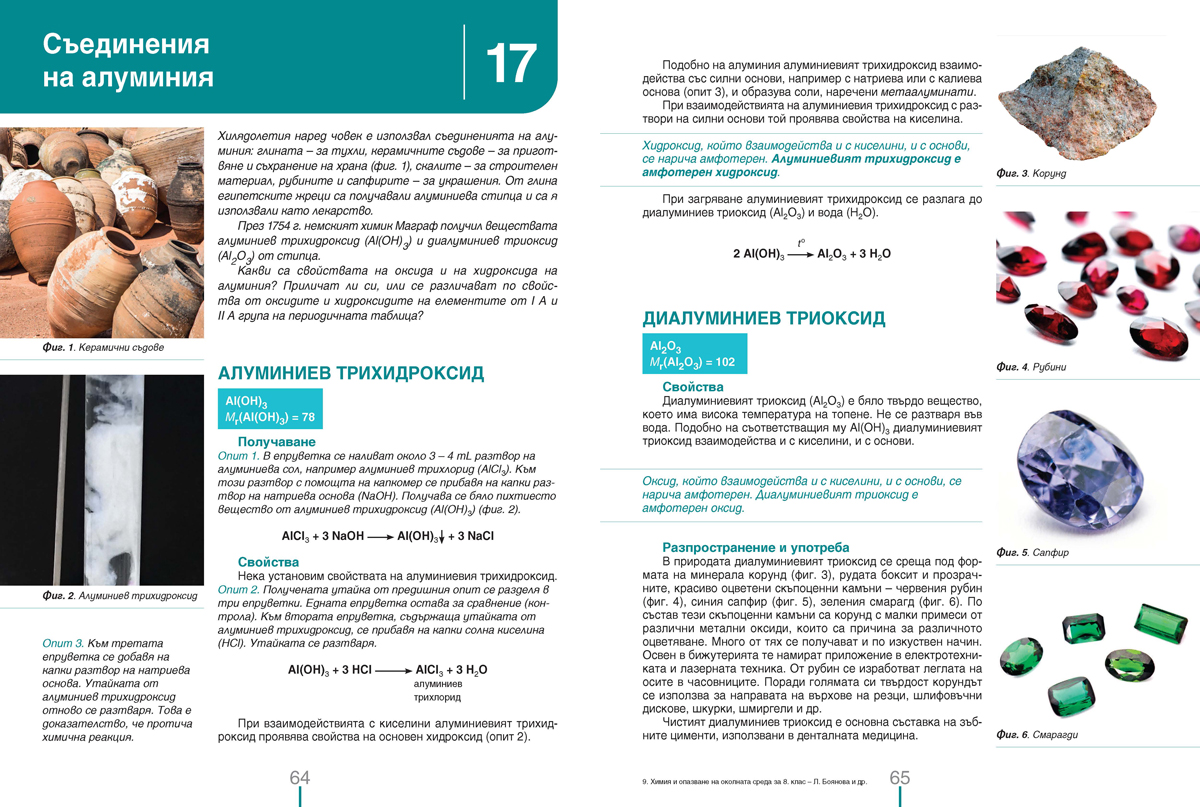 Химия и опазване на околната среда за 8. клас (и първа част за 9. клас при обучение с интензивно изучаване на чужд език) - Image 8