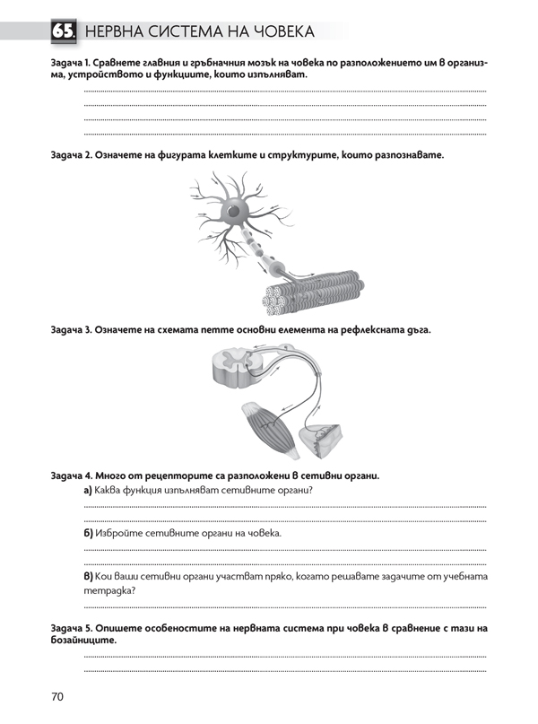 Тетрадка по човекът и природата за 6. клас - Image 5
