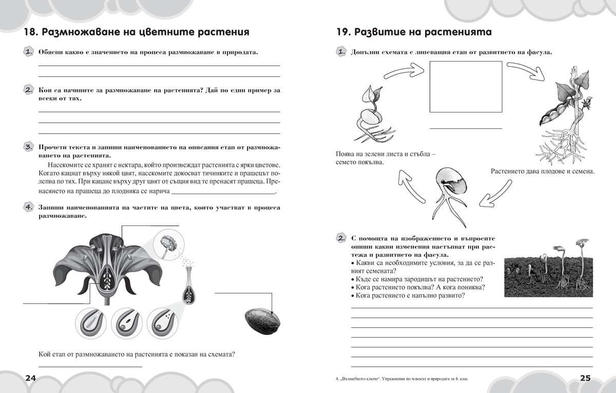 Вълшебното ключе. Упражнения по човекът и природата за целодневно обучение и самоподготовка вкъщи за 4. клас - Image 5