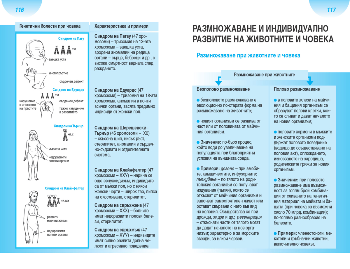 Всичко за матурата по биология и здравно образование - Image 6
