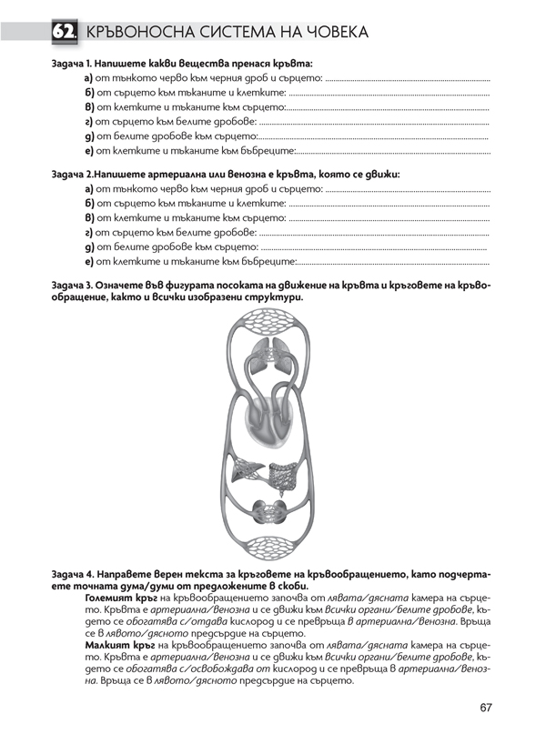 Тетрадка по човекът и природата за 6. клас - Image 4
