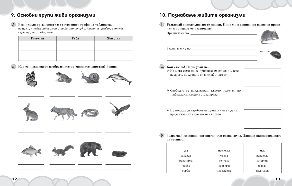 Вълшебното ключе. Упражнения по човекът и природата за целодневно обучение и самоподготовка вкъщи за 3. клас - Image 6