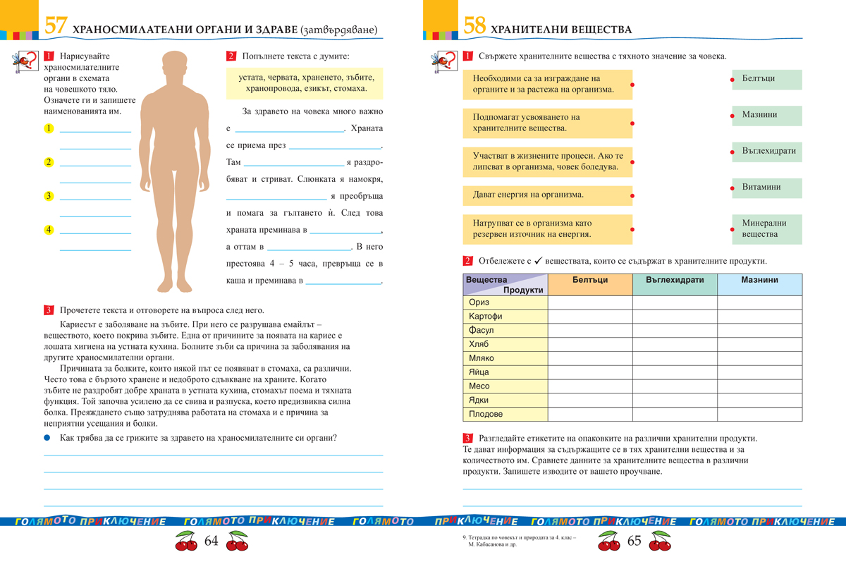 Тетрадка по човекът и природата за 4. клас - Image 8