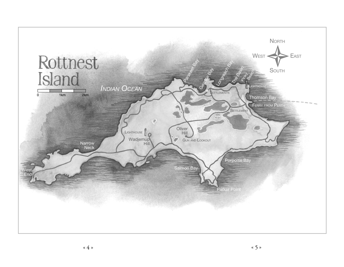 Body on the Rocks - Image 4