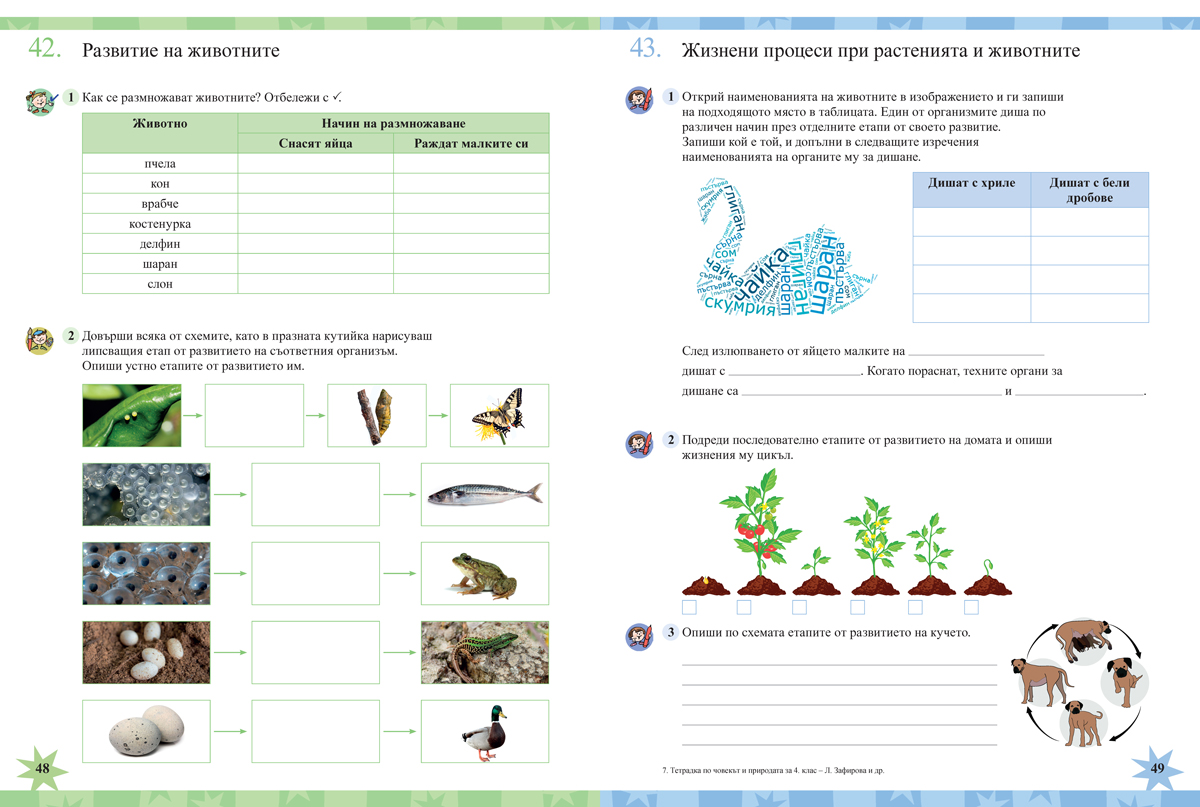 Тетрадка по човекът и природата за 4. клас - Image 9