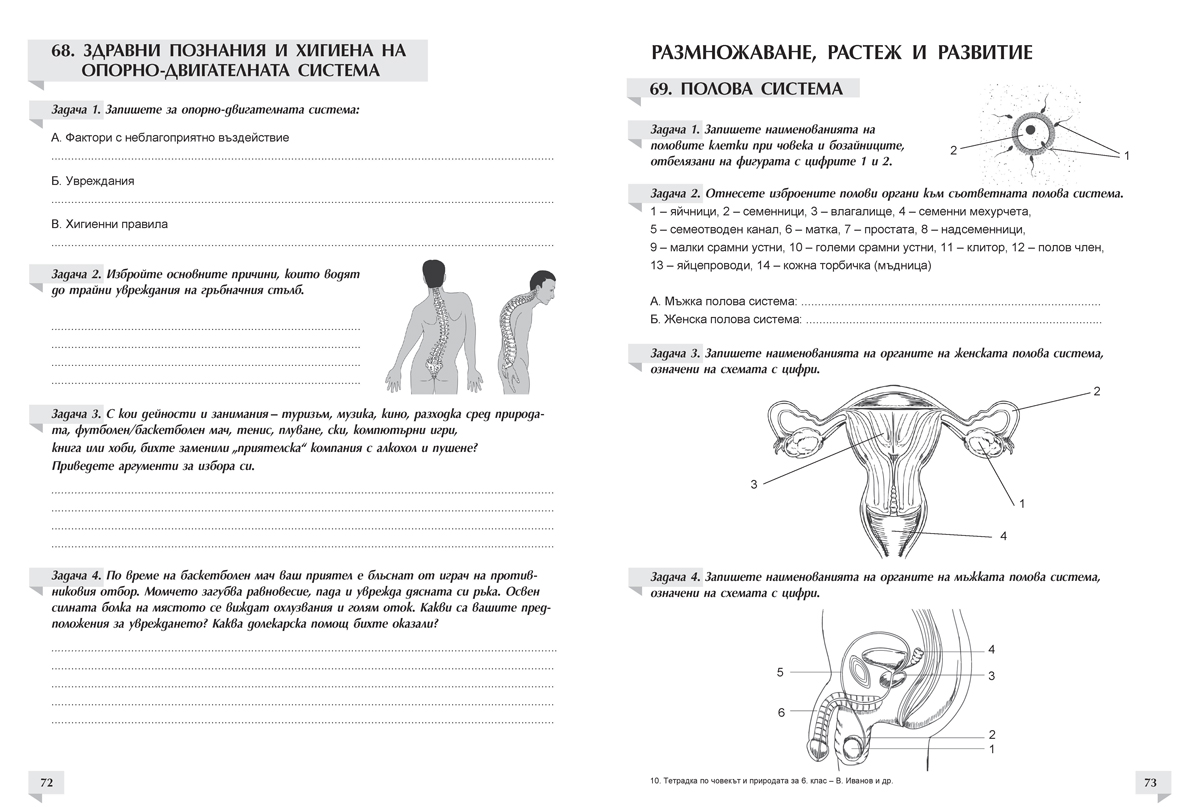 Тетрадка по човекът и природата за 6. клас - Image 5