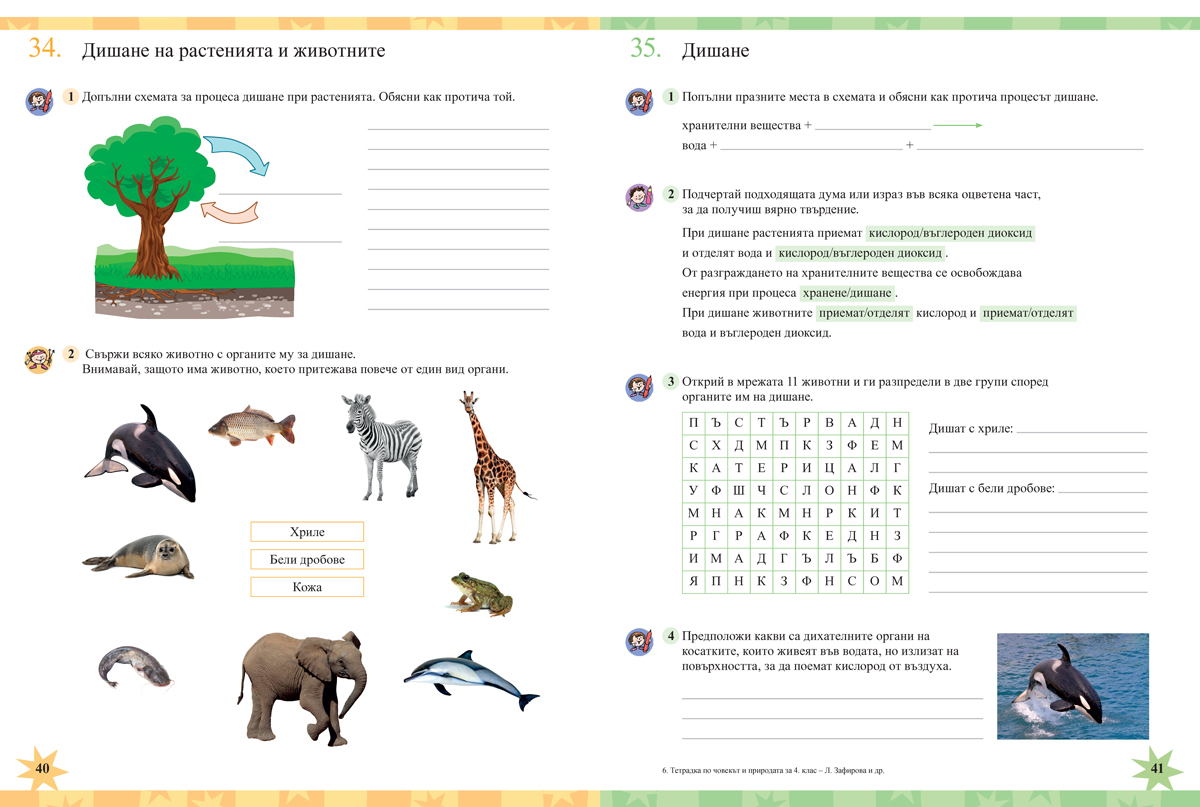 Тетрадка по човекът и природата за 4. клас - Image 8