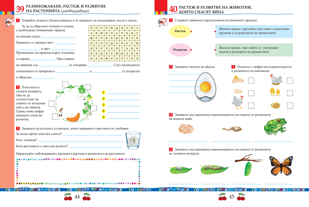 Тетрадка по човекът и природата за 4. клас - Image 6