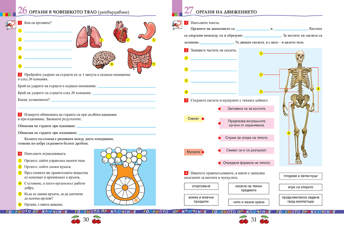 Тетрадка по човекът и природата за 3. клас - Image 7