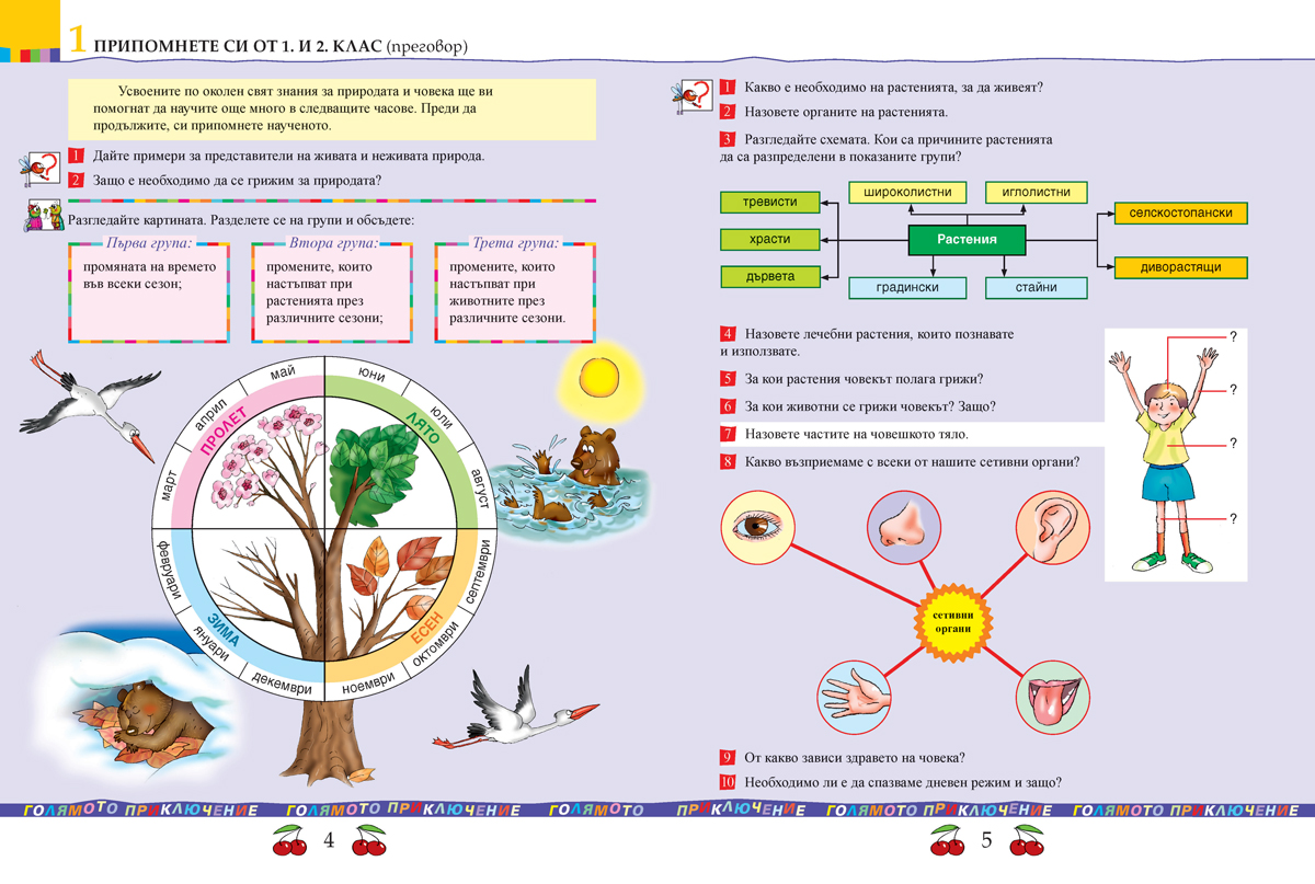 Човекът и природата за 3. клас - Image 4