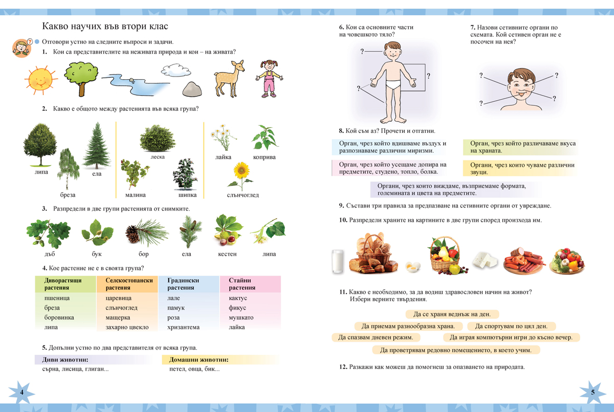 Човекът и природата за 3. клас - Image 4