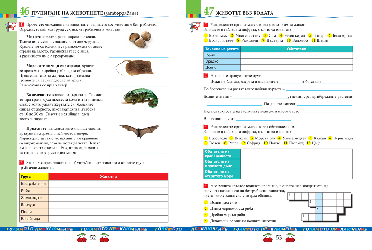 Тетрадка по човекът и природата за 4. клас - Image 7