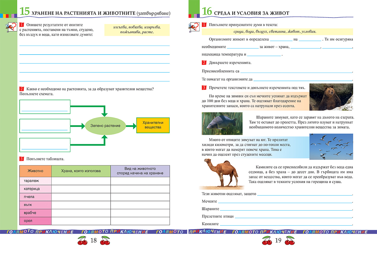 Тетрадка по човекът и природата за 3. клас - Image 6