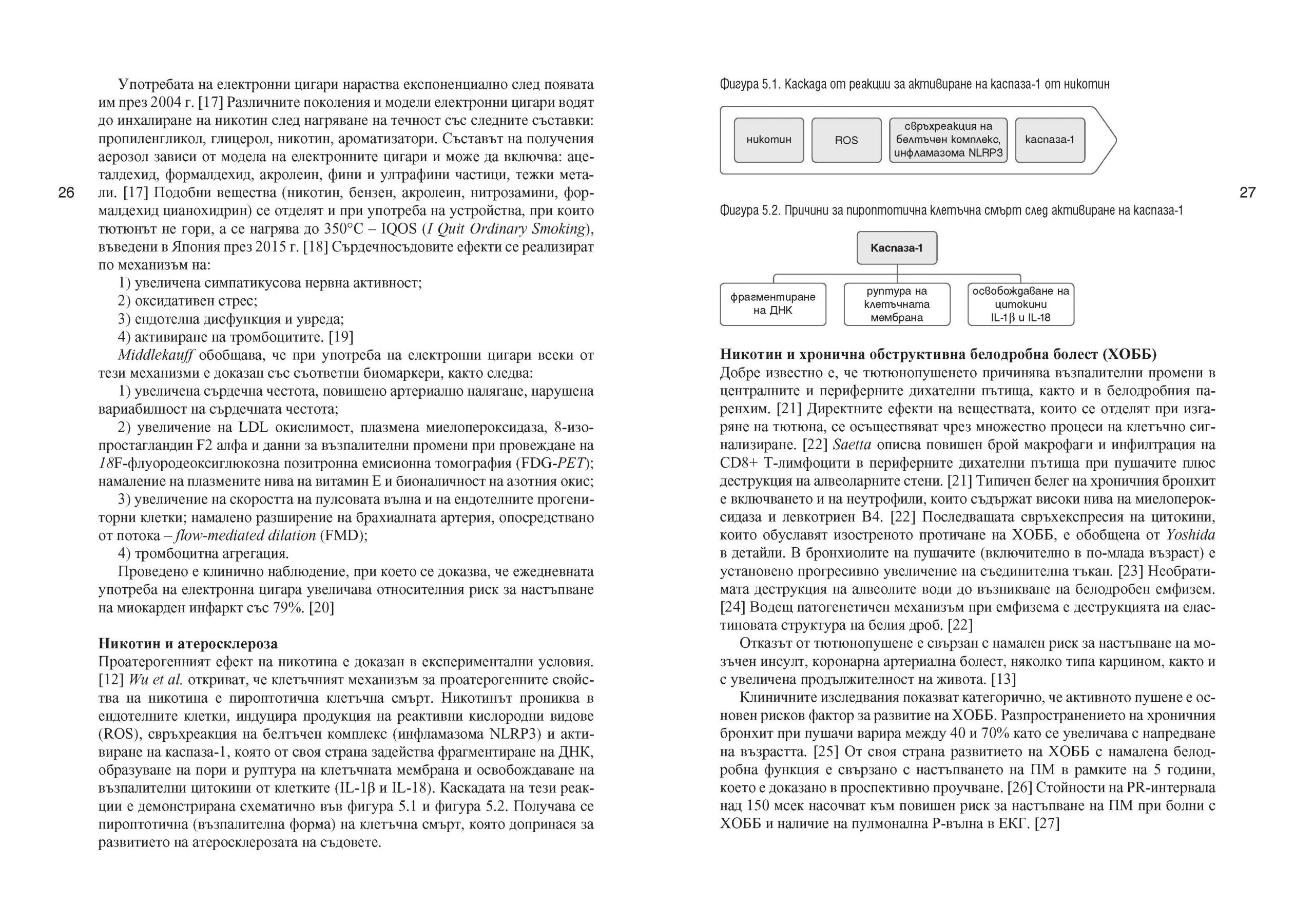 Предсърдно мъждене – патогенеза и патофизиологични механизми (част 1) - Image 4