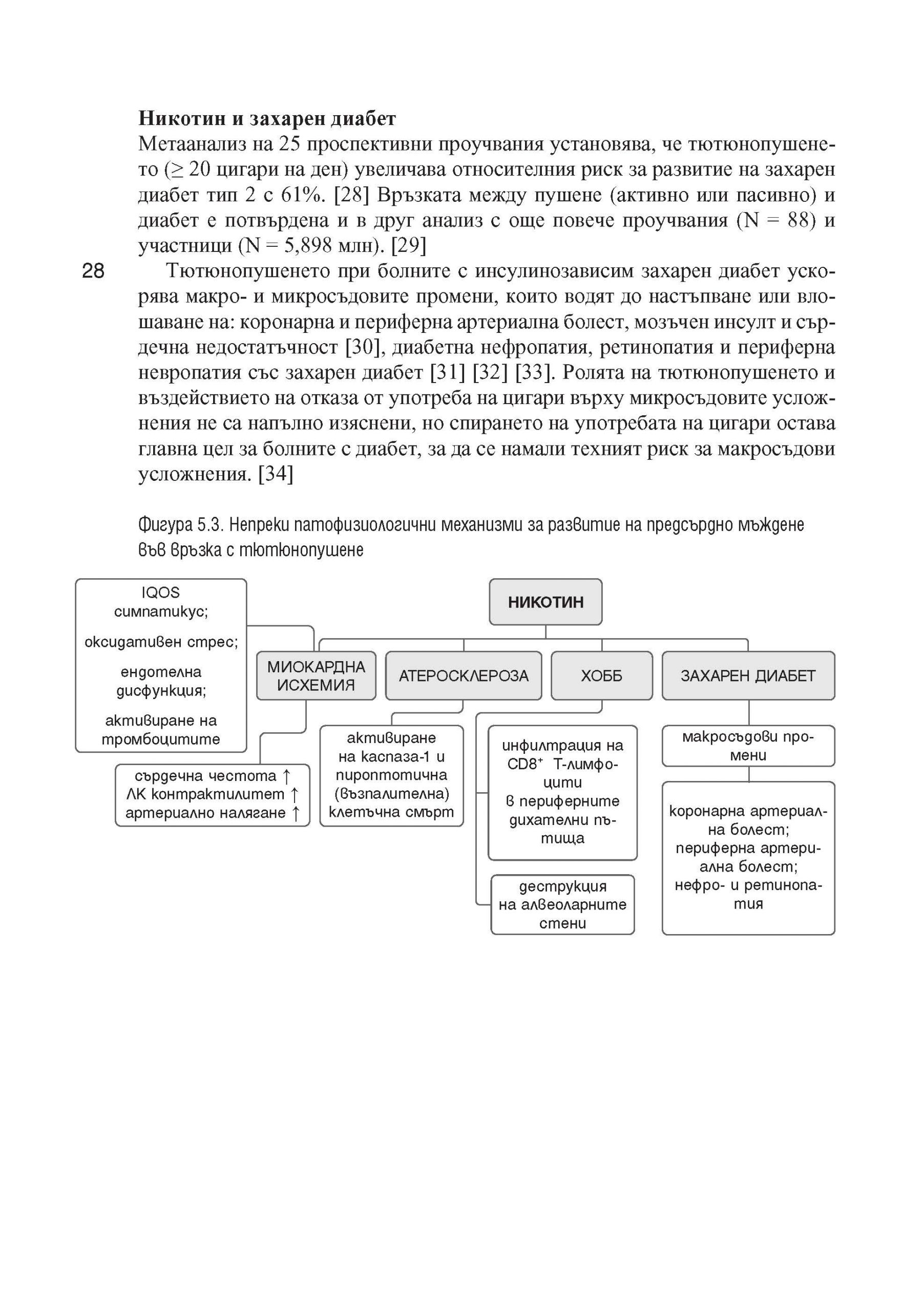 Предсърдно мъждене – патогенеза и патофизиологични механизми (част 1) - Image 5