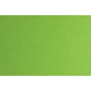 Fabriano Картон Colore, 50 x 70 cm, 140 g/m2, № 230, тревистозелен