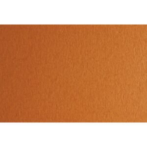 Fabriano Картон Colore, 70 x 100 cm, 140 g/m2, № 223, светлокафяв