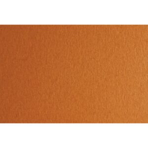 Fabriano Картон Colore, 50 x 70 cm, 140 g/m2, № 223, светлокафяв