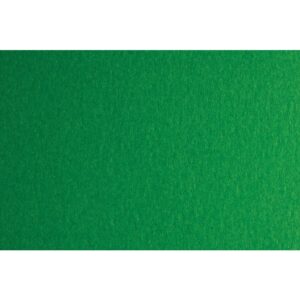 Fabriano Картон Colore, 70 x 100 cm, 140 g/m2, № 231, зелен