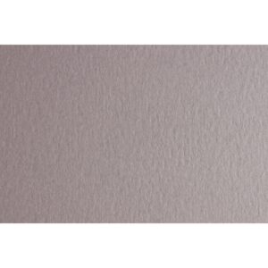 Fabriano Картон Colore, 70 x 100 cm, 140 g/m2, № 222, светлосив
