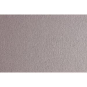 Fabriano Картон Colore, 50 x 70 cm, 140 g/m2, № 222, светлосив