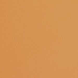 Fabriano Картон Colore, 70 x 100 cm, 200 g/m2, № 223, светлокафяв