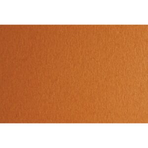 Fabriano Картон Colore, 50 x 70 cm, 200 g/m2, № 223, светлокафяв