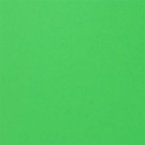 Fabriano Картон Colore, 70 x 100 cm, 200 g/m2, № 230, тревистозелен