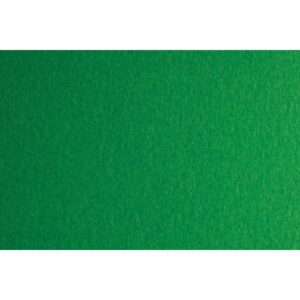 Fabriano Картон Colore, 70 x 100 cm, 200 g/m2, № 231, зелен