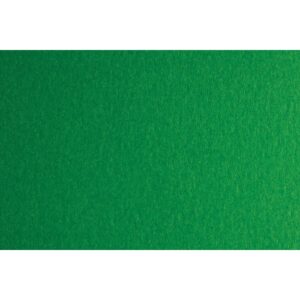 Fabriano Картон Colore, 50 x 70 cm, 200 g/m2, № 231, зелен