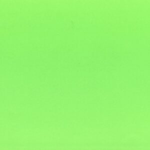 Fabriano Картон Elle Erre, 50 x 70 cm, 220 g/m2, № 110, тревистозелен