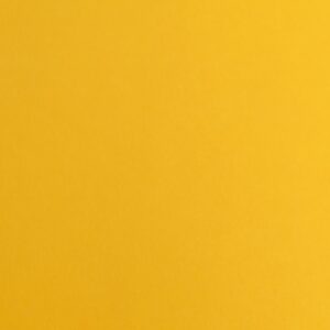 Fabriano Картон Elle Erre, 70 x 100 cm, 220 g/m2, № 103, охра