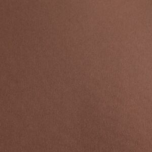 Fabriano Картон Elle Erre, 70 x 100 cm, 220 g/m2, № 106, тъмнокафяв