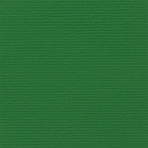 Fabriano Картон Elle Erre, 70 x 100 cm, 220 g/m2, № 111, зелен