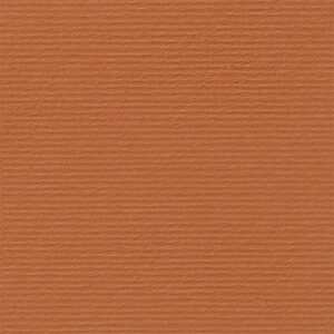 Fabriano Картон Elle Erre, 70 x 100 cm, 220 g/m2, № 119, светлокафяв